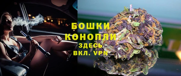ГАЛЛЮЦИНОГЕННЫЕ ГРИБЫ Алексин