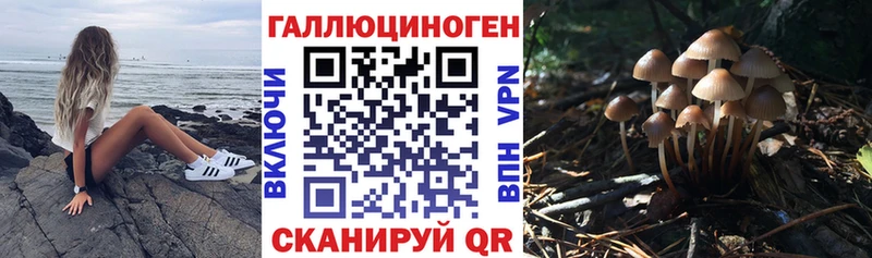 купить сайты Сясьстрой Галлюциногенные грибы Psilocybe