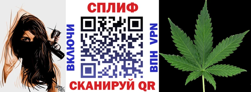 OMG как зайти  Сясьстрой  Канабис White Widow 